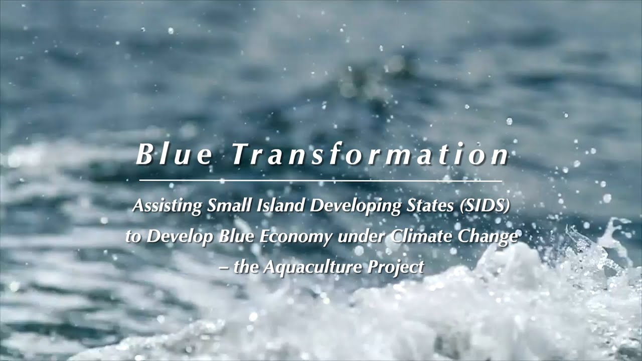 Blue Transformation｜Aquaculture Projects in the Small Island Developing ...