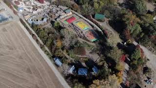 Vala's Pumpkin Patch 2019