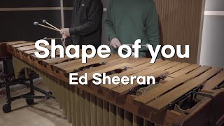 Ed Sheeran - Shape of you - Pulse Marimba Cover Resimi