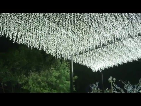 Christmas Lights at SeaWorld San Antonio