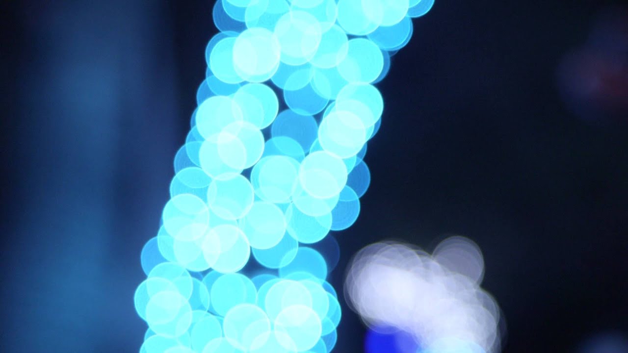 Christmas Lights at SeaWorld San Antonio YouTube