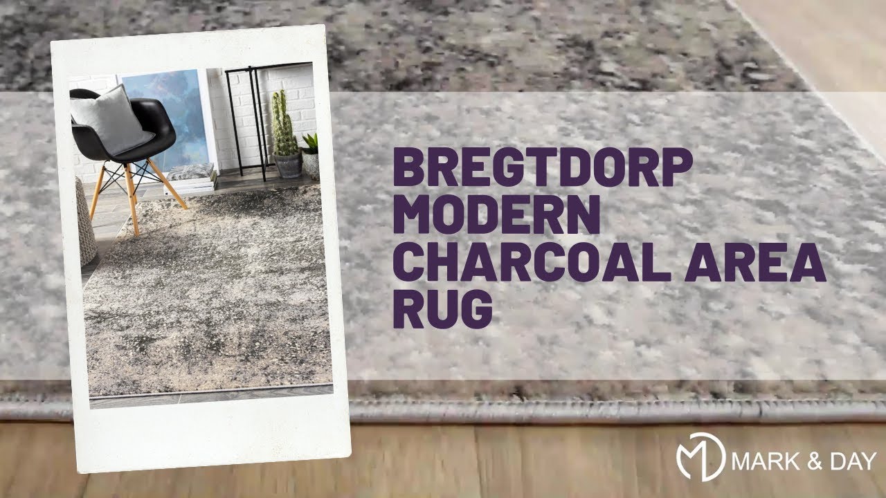 Bregtdorp Modern Charcoal Area Rug