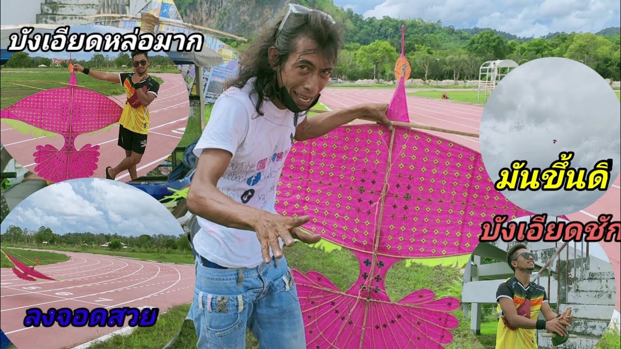 ว่าวนกยูงขึ้นแล้วครับ ชมเลย