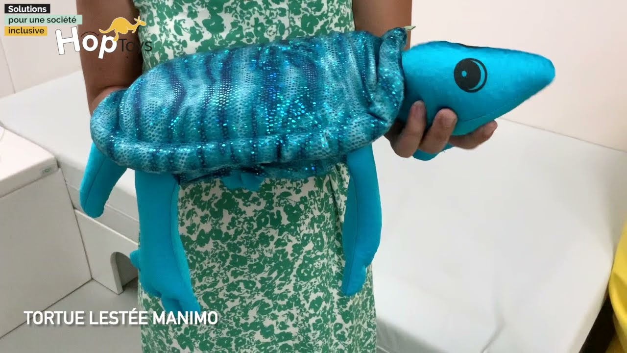 Manimo - Lézard lesté vert 2 kg