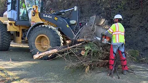 Thousands of Evacuees Return Home as Crews Gain Ground on Kincade Fire