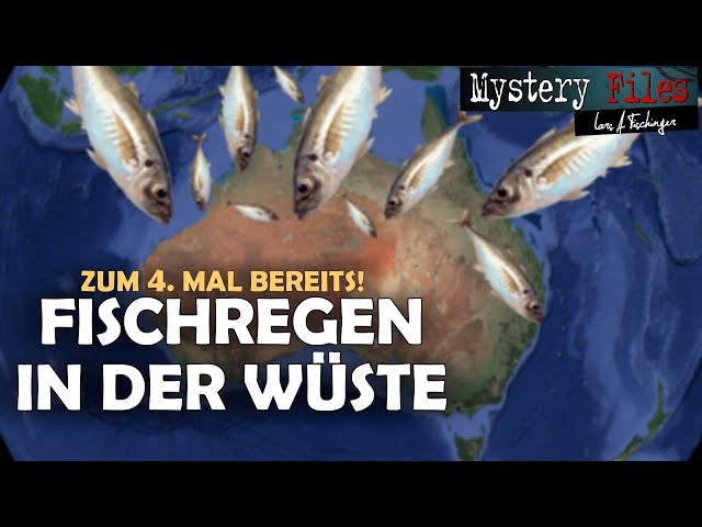 Fischregen in einem Wüsten-Dorf in Australien - zum 4. Mal! Von Vogelkotze und Mini-Tornados