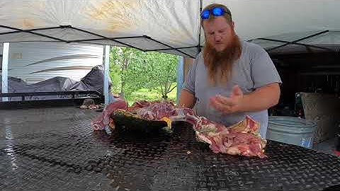 How I clean a Snapping Turtle