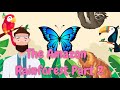 Facts about the Amazon Rainforest For kids part 2