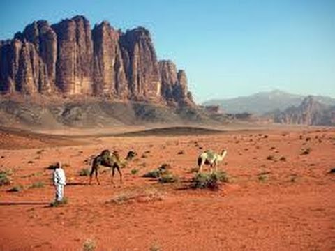 حياة الصحراء Arabian desert