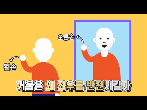 (Eng sub) Why does the mirror reverses left and right