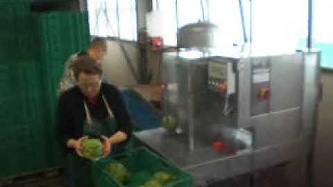 VePack 200 P single version