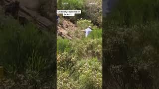John Daly Falls Into The Desert Hazard #golfshorts