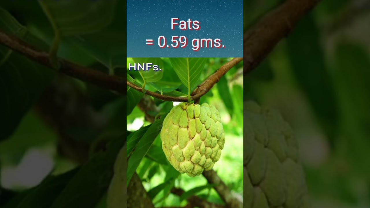 Custard apple is the best and nutritious fruit