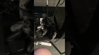 IMG 1307