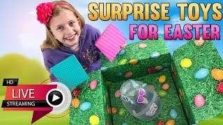 Surprise!!!