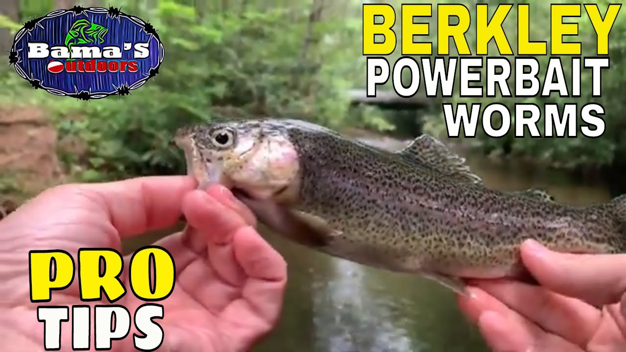 Berkley PowerBait Trout Worms PRO TIPS And TECHNIQUES To Help You