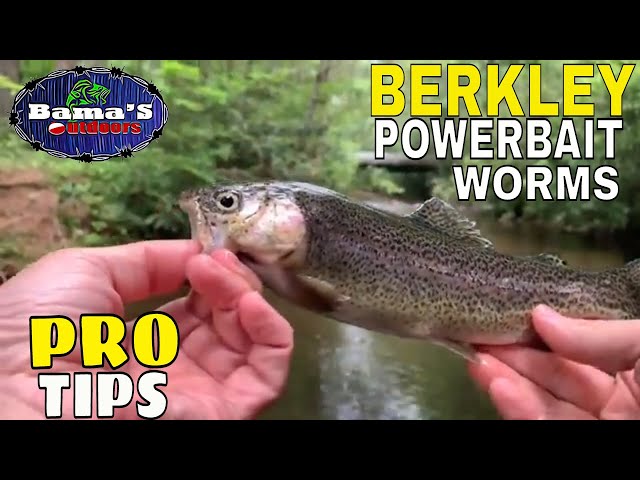 Berkley PowerBait Trout Worms PRO TIPS And TECHNIQUES To Help You