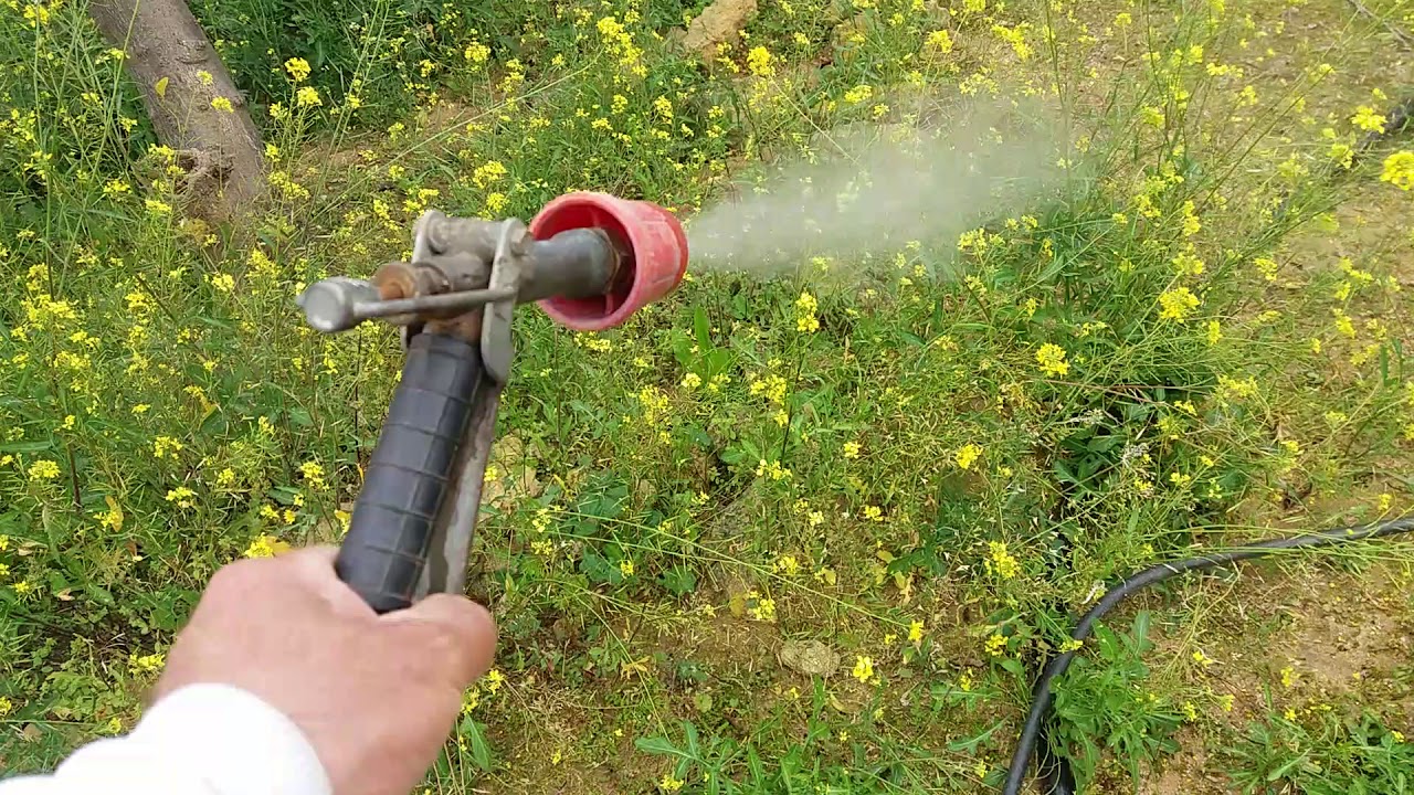 Veneno para matar la hierba - YouTube