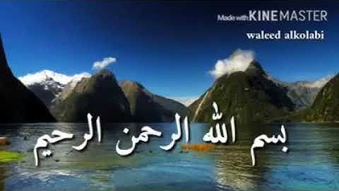 تلاوة للشيخ محمد حسين عامر سورة الشمس