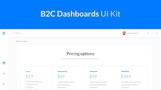B2C Dashboard UI Kit - Overview