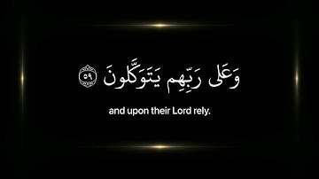 [ الذين صبروا وعلى ربهم يتوكلون ] القارئ عبدالرحمن مسعد #اكتب_شي_تؤجر_عليه #اجر_لي_ولك
