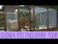 Guinea Pig Enclosure Tour | February 2015
