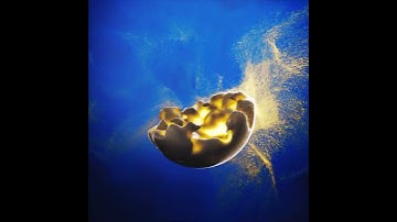 Object Dissolution into Particles Re-render - Blender Geometry Nodes 4.1