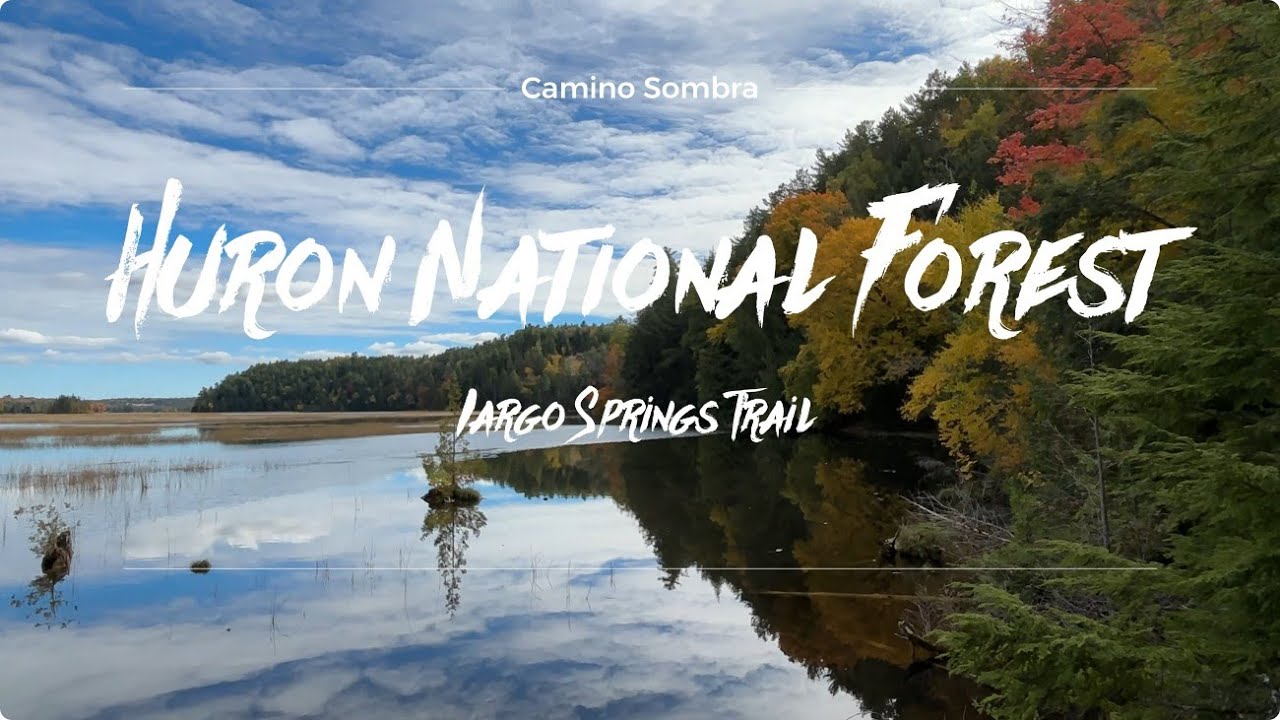 Huron National Forest in Michigan - Iargo Springs Trail [4K]