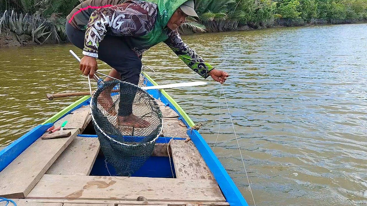 PANTAS SAJA IKAN KECIL PADA KABUR, TERNYATA ADA BUMBLEBEE BESAR DI SPOT INI