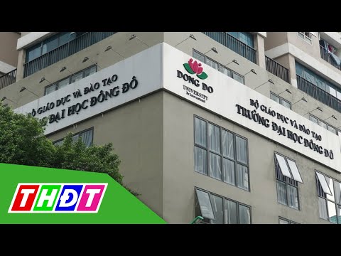 Video Bộ GD&ĐT: Sẽ thu hồi các bằng Tiến sĩ liên quan đến... - YouTube