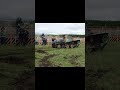 九五式軽戦車"ハ号"里帰り 丙