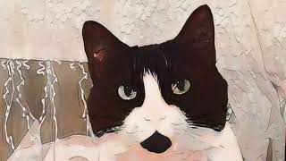 Notaloji̇ - Neler Geldi Başıma Official Video