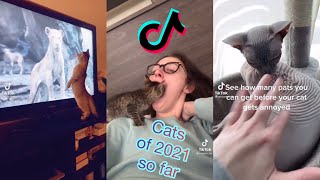 Cutest&Funniest Cats of 2021 So Far | TikTok Cat Compilation by Cat Purrfections 527 views 3 years ago 8 minutes, 52 seconds