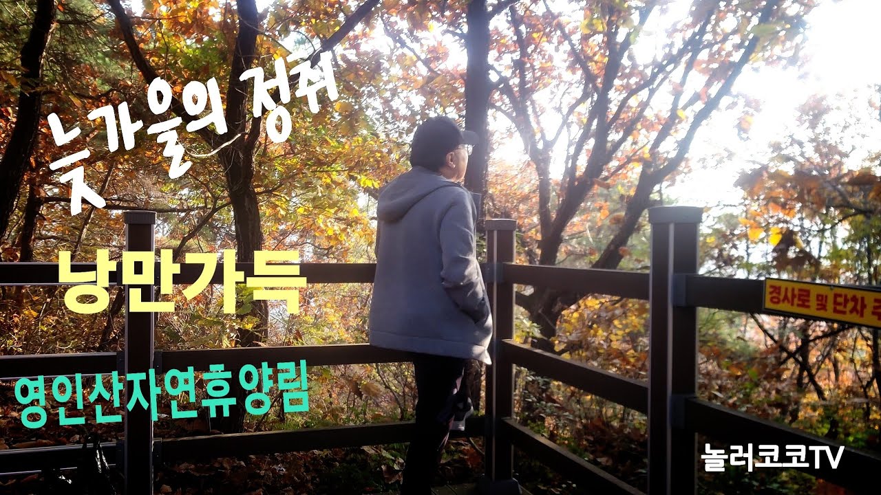 깊어가는 늦가을 추워지기전에 영양분 보충하기~