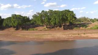 African watering hole