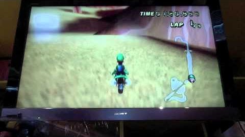 Exploring Maple Treeway