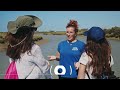 Destino Andalucía | Las salinas de Cádiz, un paisaje de agua, sal y tradición