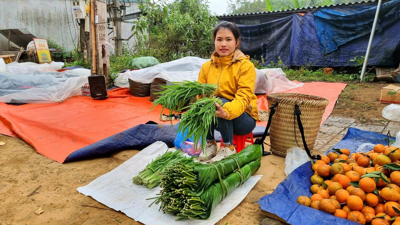 Harvest Vegetables & Dong Leaves Bring to the market to highland sell | Trieu Thi Thuy