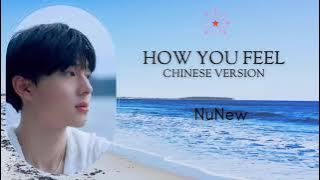How You Feel - NuNew (Chinese Version Lyrics) || Han/Pinyin/Eng Lyrics