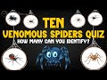Venomous Spiders Identification Quiz