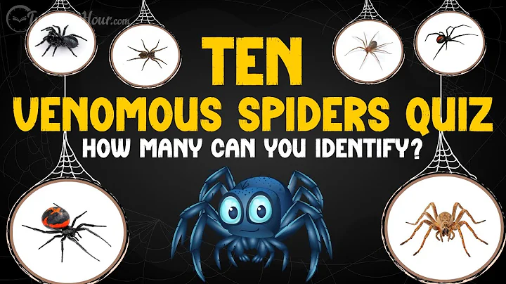 Can You Guess These 10 Venomous Spiders? 🕷️ Fun Quiz for Kids!