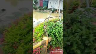Homestay Ninh Binh - Sunny Trang An Homestay