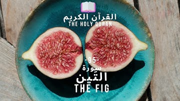 🤲 القرآن الكريم : (95) سورة التين - At-Tin - THE FIG - 🤲