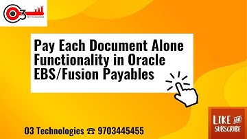 Pay Each Document Alone Functionality in Oracle EBS/Fusion Payables
