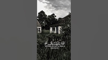 حالات دينيه//تلاوة هادئة//القرآن الكريم//القارئ عبد الرحمن مسعد #قرآن#القرآن_الكريم #قران_شاشة_سوداء