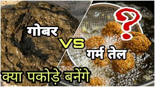 Cow dung vs hot oil // क्या हुआ जब गोबर को गर्म तेल में डाला // गोबर के पकोड़े बनेंगे??