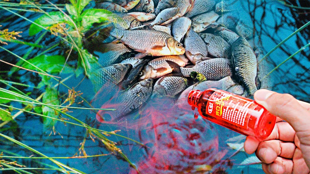 11 ЛАЙФХАКОВ ДЛЯ РЫБАЛКИ!