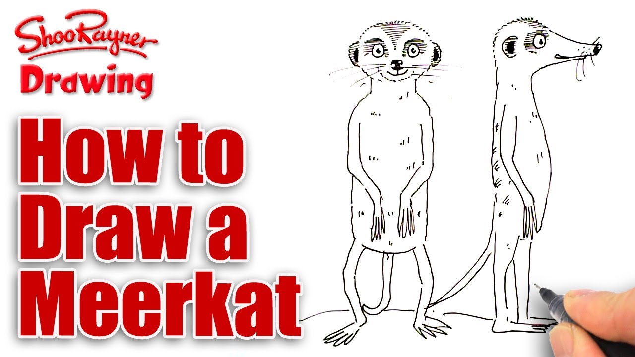 Featured image of post How To Draw A Meerkat Easy We all could do with a helping hand every so often don t we