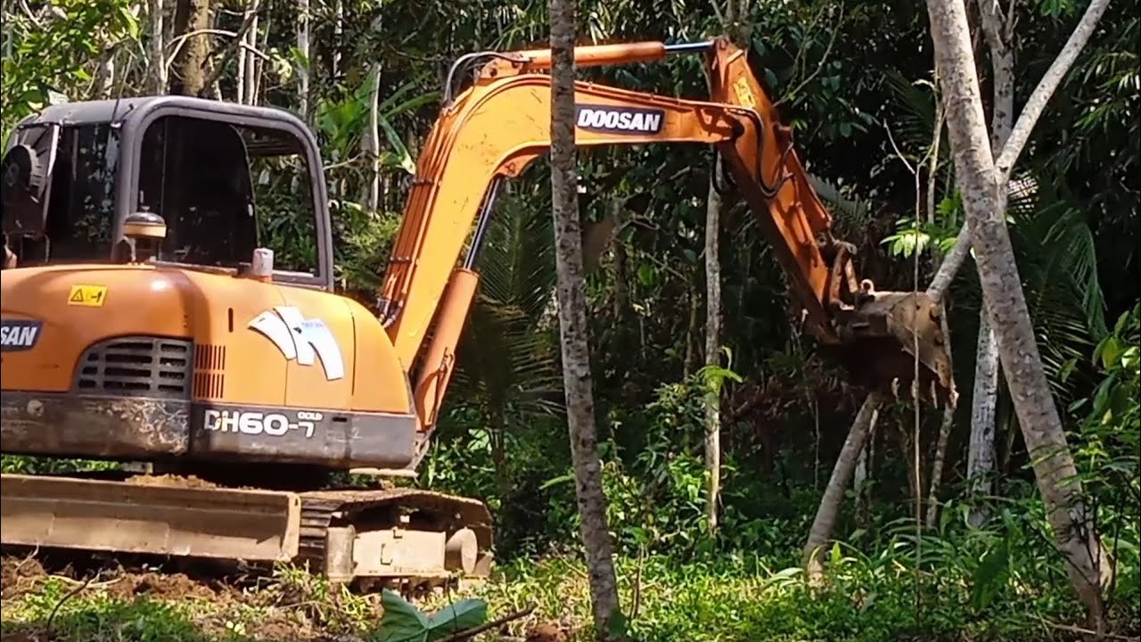 Uprooting trees, removing roots and moving logs DOOSAN DH60-7 Small Excavator.