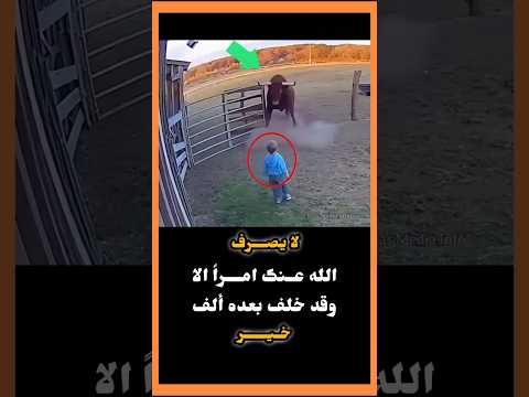 وان خانتك شقاوة الحياه فلن يخونك لطف الله موسيقى حزينة حالات ستوري خواطر عبارات